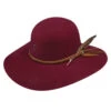 Charlie 1 Horse Charlie 1 Horse Free Spirit Felt Hat -Ariat Store charlie 1 horse charlie 1 horse free spirit felt h