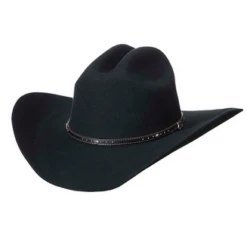 Justin Justin 2X Black Hills Hat