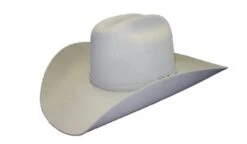 Rodeo King Rodeo King Rodeo 7X Felt Hat