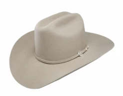 Stetson Stetson 4" Brim Corral 4X Buffalo Felt Hat